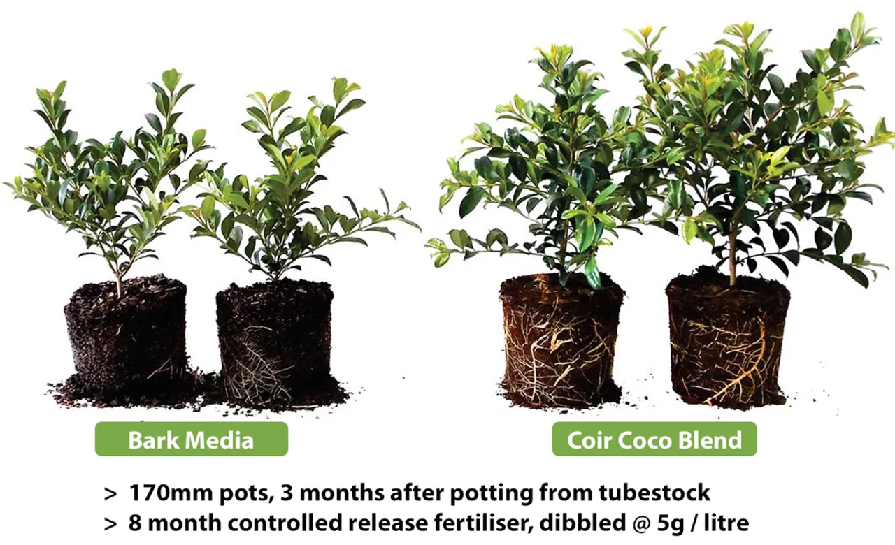 coir coco blend vs bark media