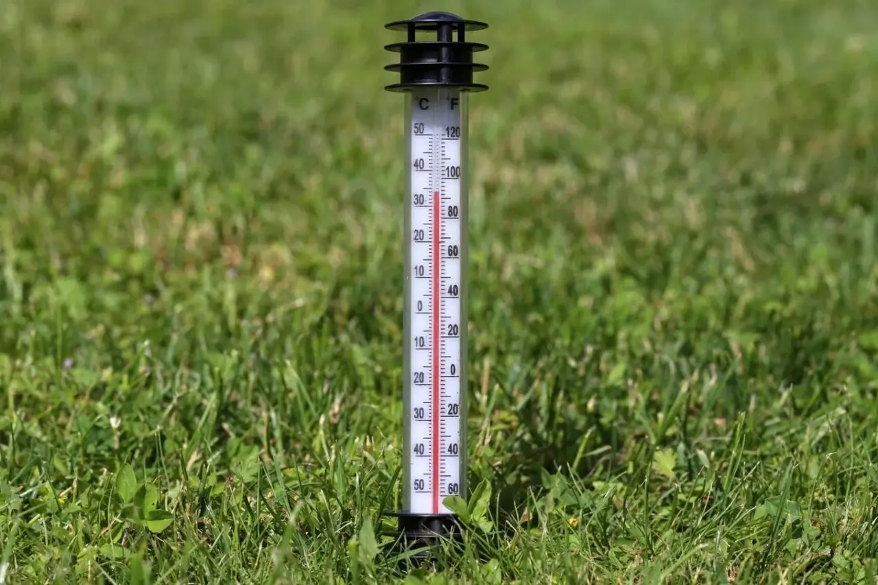 Soil thermometer inserted into lawn to check soil temperature before applying lawn fertiliser