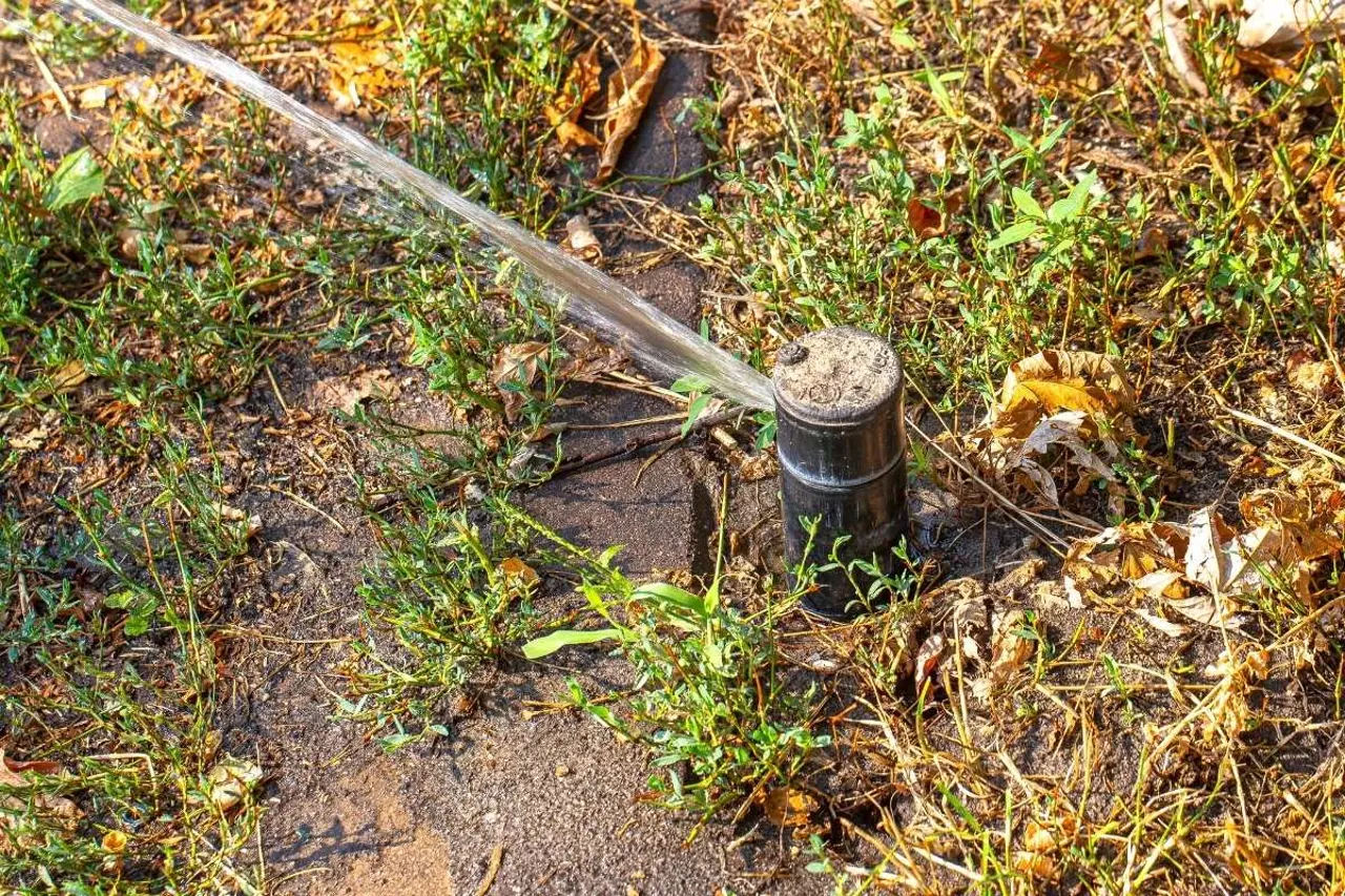 Sprinkler spraying onto a dry lawn where water isn't soaking in
