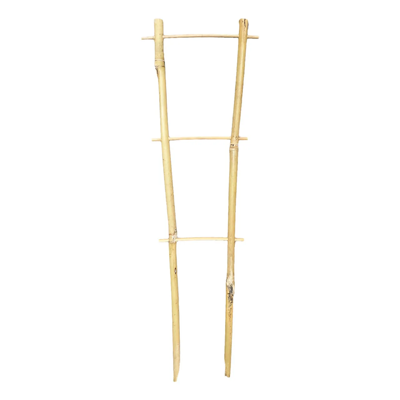 Bamboo Plant Trainer 35cm — 35cm · Each