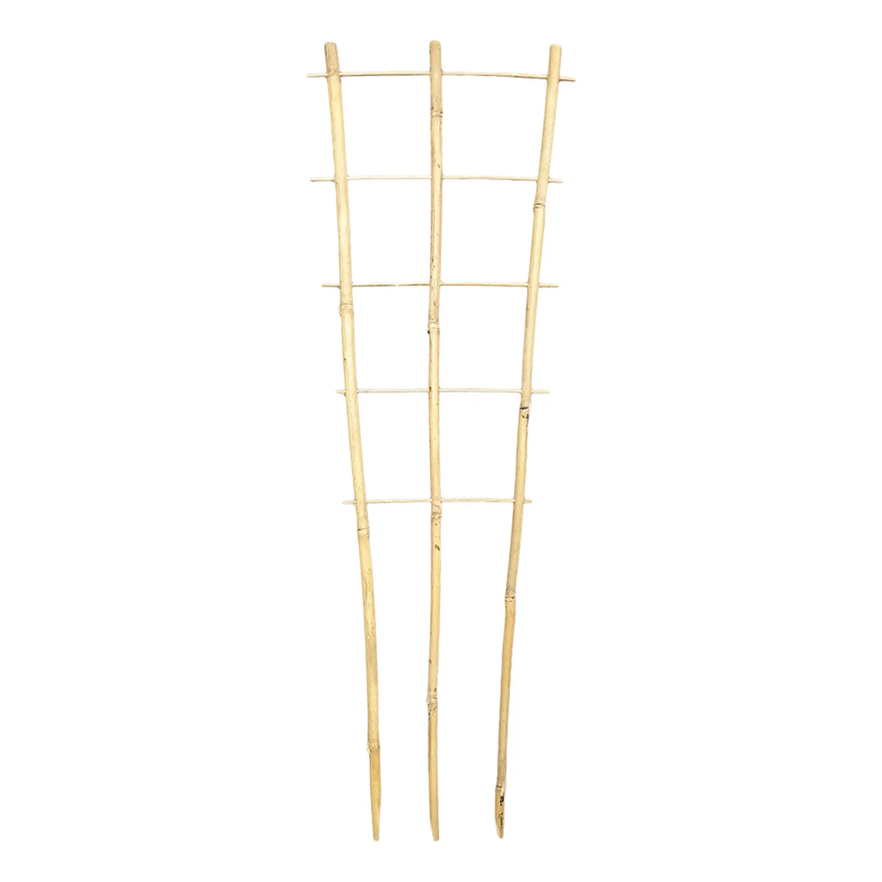 Bamboo Plant Trainer 90cm — 90cm · Each