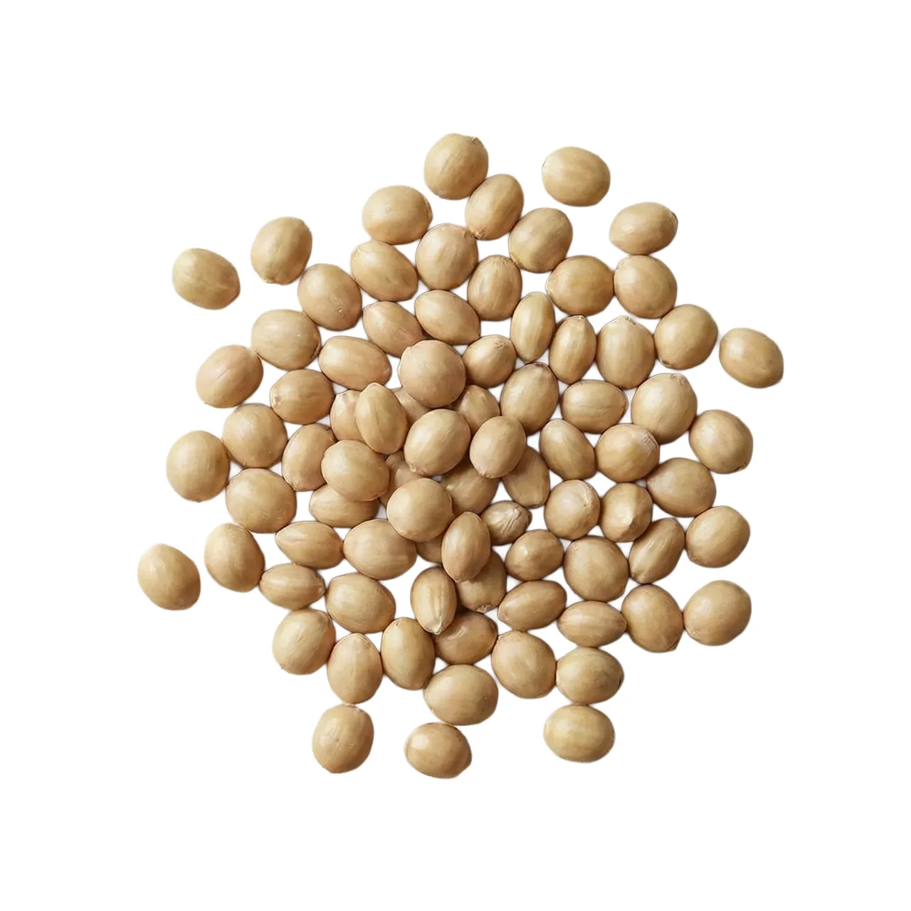 Kikuyu Grass Seed — 1kg