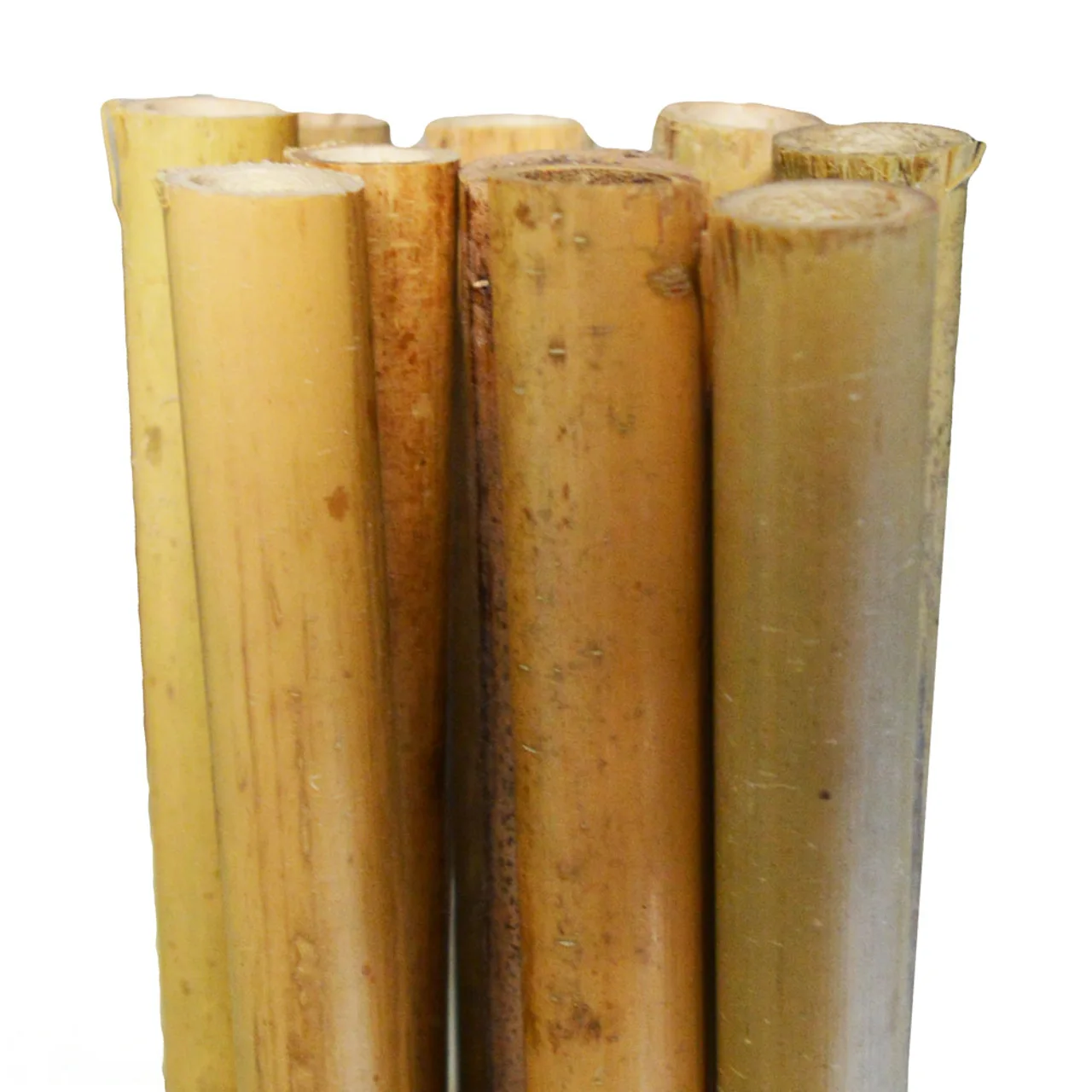 Bamboo Stakes 210cm — 210cm, 14-16mmØ · Bale of 200