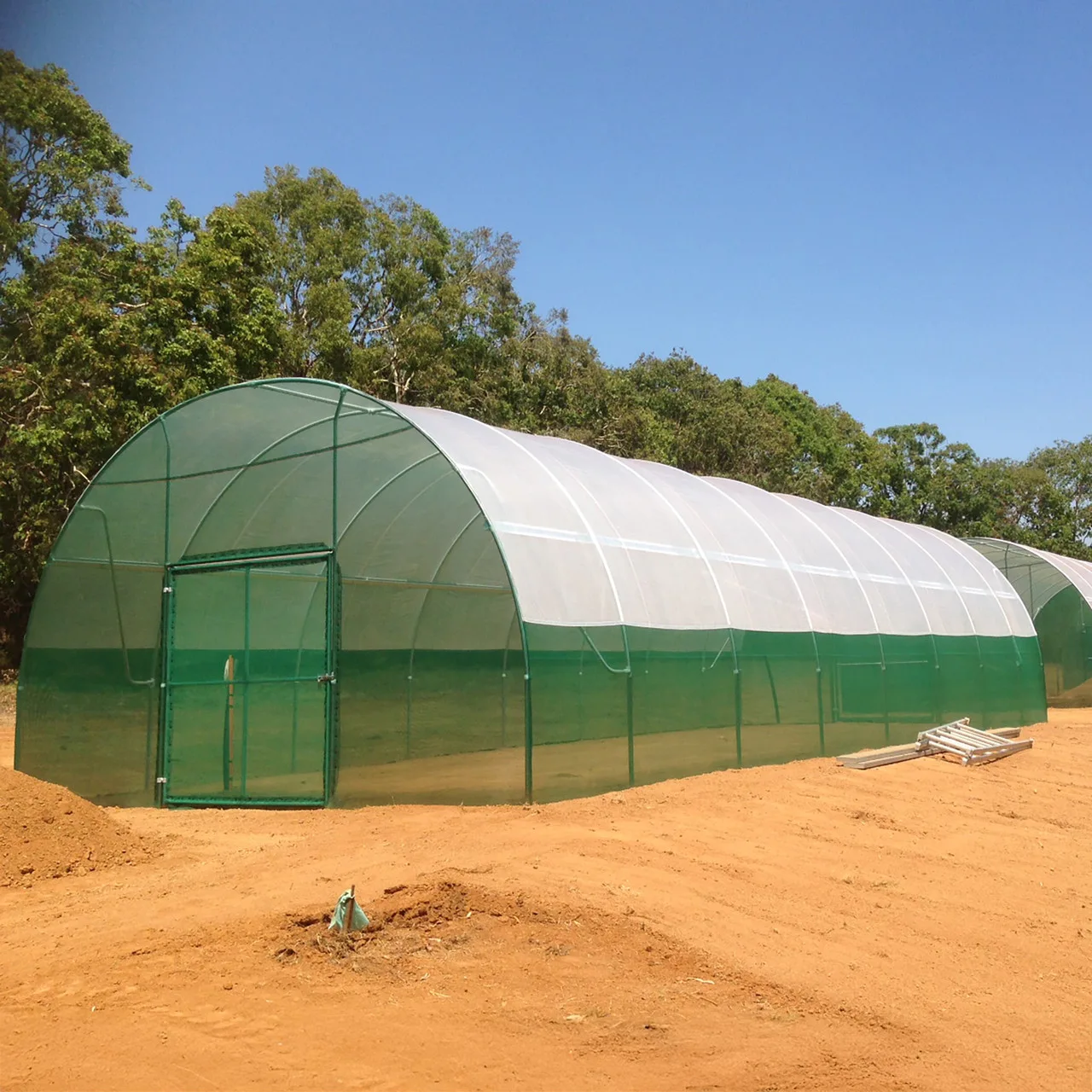 6m Wide Classic Tunnelhouse