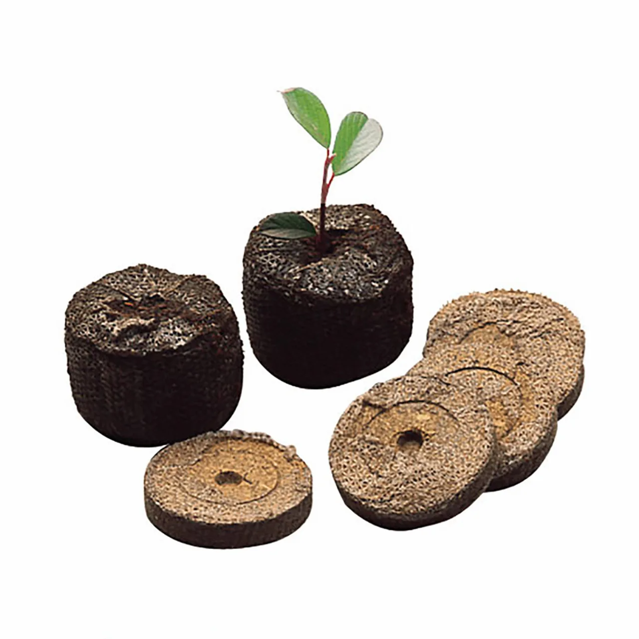 Jiffy 7 44mmØ Swell-up Seed Pot — Box of 1000