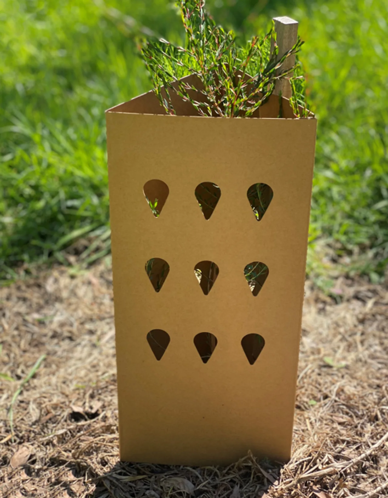 Greenguard POP Triangular Enviro Tree Guard — 450mm H x 200mm W · Bundle of 10
