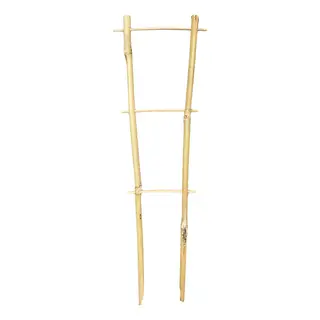 Bamboo Plant Trainer 35cm -  The Garden Superstore
