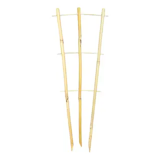 Bamboo Plant Trainer 45cm -  The Garden Superstore