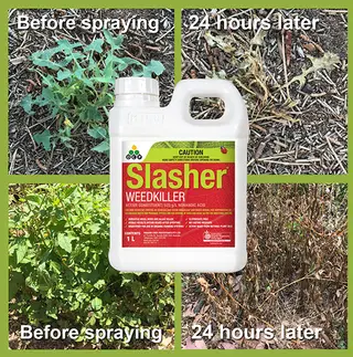 Slasher | Organic Weedkiller | RTU