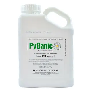 PyGanic | Organic Insecticide