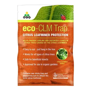 Eco-CLM Trap | Citrus Leafminer Protection