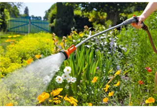 75cm Classic Adjustable Spray Wand