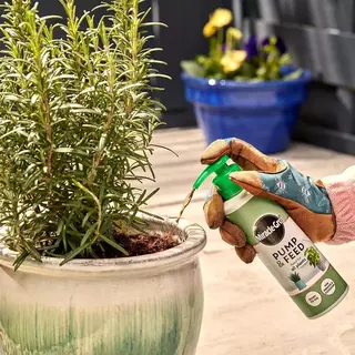 Miracle-Gro Pump & Feed All Purpose