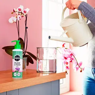 Miracle-Gro Pump & Feed Orchid