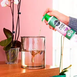 Miracle-Gro Pump & Feed Orchid