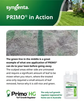 Primo HG | Turf Growth Regulator