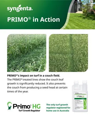 Primo HG | Turf Growth Regulator