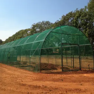 6m Wide Classic Tunnelhouse