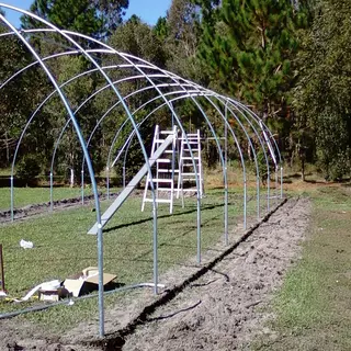 6m Wide Classic Tunnelhouse