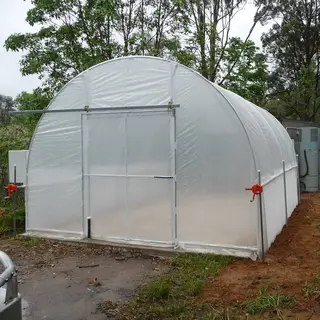 4.2m Wide Classic Tunnelhouse