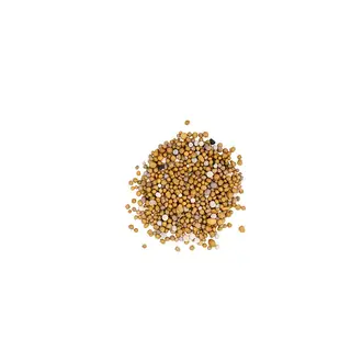 Osmocote Orchid | Controlled Release Fertiliser
