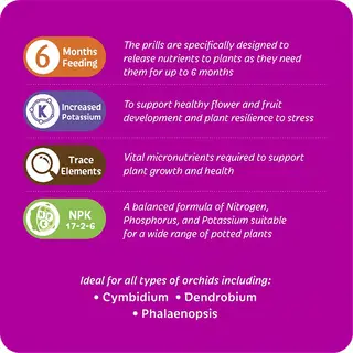 Osmocote Orchid | Controlled Release Fertiliser
