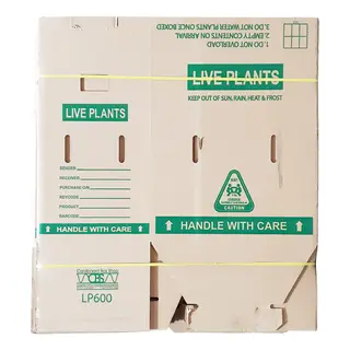 Live Plants Carton Open Top