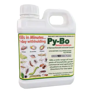 Py-Bo | Natural Pyrethrum | Insecticidal Concentrate