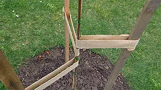 Jute Webbing Tree Tie