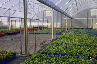 Solarweave Reinforced Plastic Film