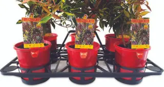 Efficiency Shuttle Tray for 140mmØ Pots - 6 Cell