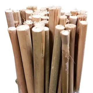 Bamboo Stakes 45cm -  The Garden Superstore