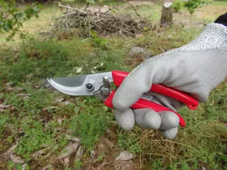 130DX Bypass Pruner