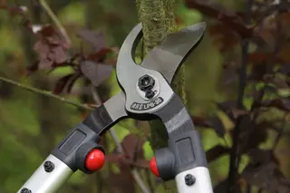 ARS LPB-30S Bypass Loppers