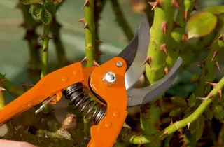 Bahco P110-23F 25mm Bypass Secateurs with Stamped/Pressed Steel Handle