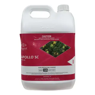 Apollo SC | Miticide & Ovicide