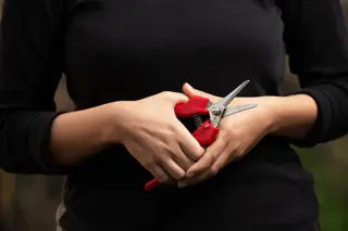 310 Narrow-Nose Snips