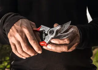 Felco 4 Secateurs