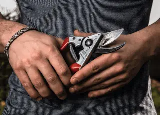 Felco 8 Secateurs
