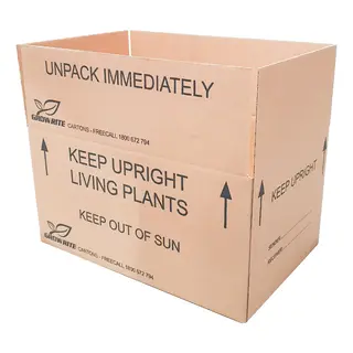Living Plants Cartons -  The Garden Superstore