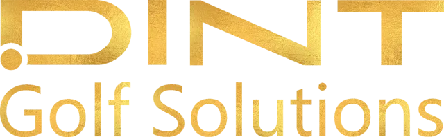 DINT logo