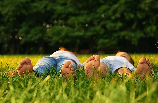 A lush green lawn