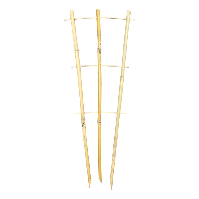 Bamboo Plant Trainer 45cm -  The Garden Superstore