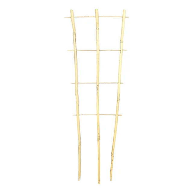 Bamboo Plant Trainer 60cm -  The Garden Superstore