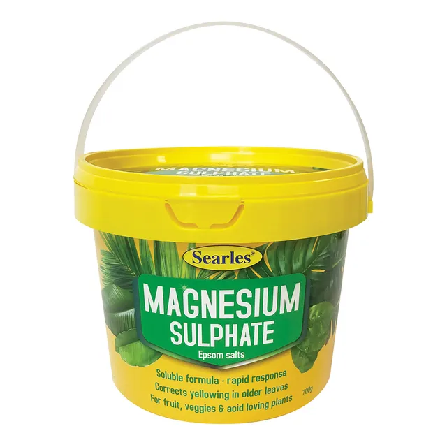 Magnesium Sulphate