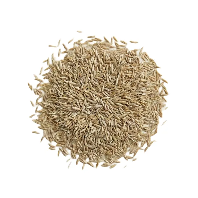 Overseeding Grass Seed Blend