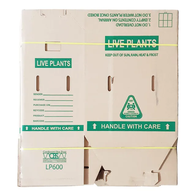 Live Plants Carton Open Top