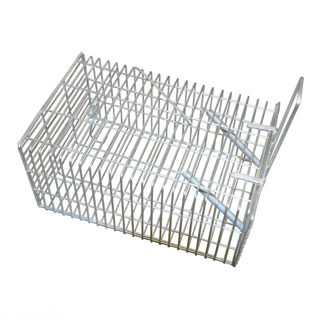 Trap Galvanised Wire for Rat/Rodent -  The Garden Superstore