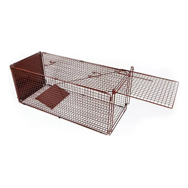 Trap Lightweight Powder-coated Wire for Feral Cat -  The Garden Superstore
