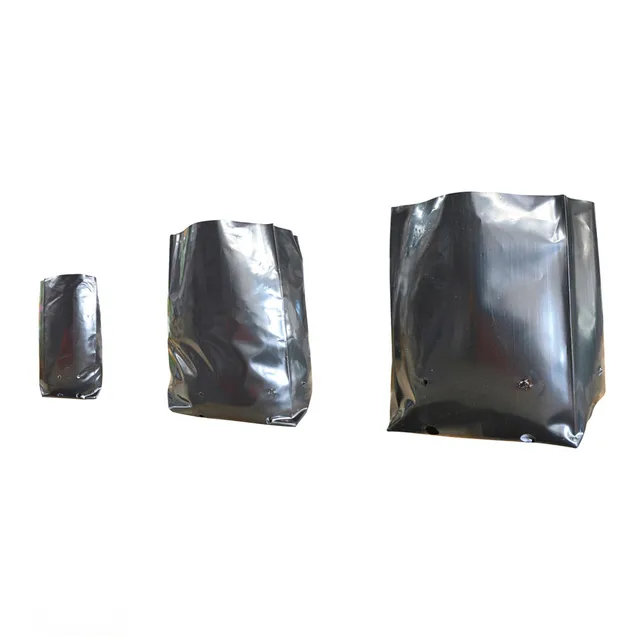 Black Polythene Plant Bag 300mmØ -  The Garden Superstore